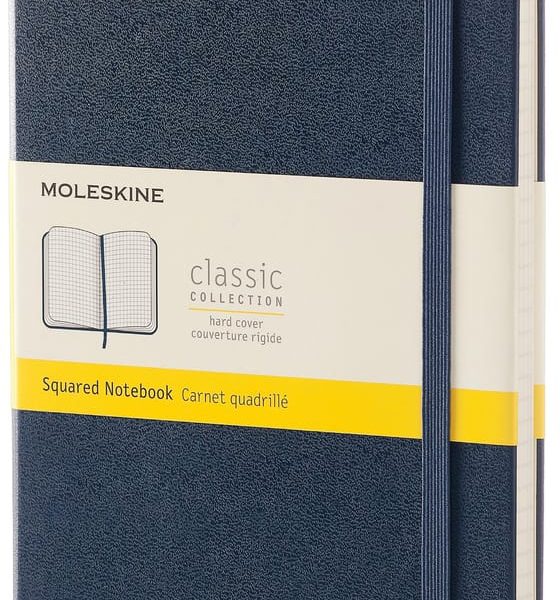 MOLESKINE Notizbuch L A5 893762 kariert Saphir