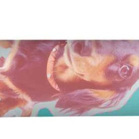 ONLINE Gelschreiber magiXX Fun Puppy 35410/3D schreibfarbe blau 0.7mm