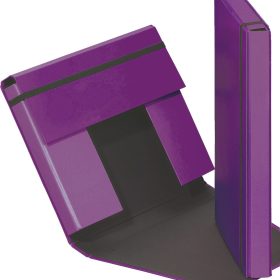 PAGNA Sammelbox Trend A4 21308-12 Gummizugverschluss lila