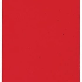 PAGNA Klemmbrett Color A4 24009-01 rot