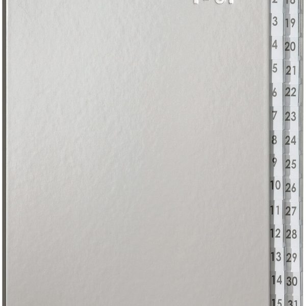 PAGNA Pultordner Color A4 24329-14 silber 1-31
