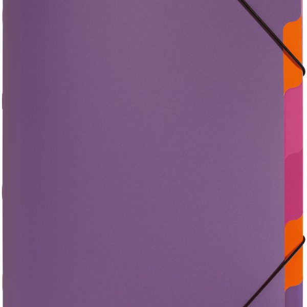 PAGNA Ordnungsmappe A4 41803-12 lilac 5-teilig