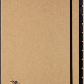 PAGNA Pultordner Pur A4 44012-11 natur 12-teilig