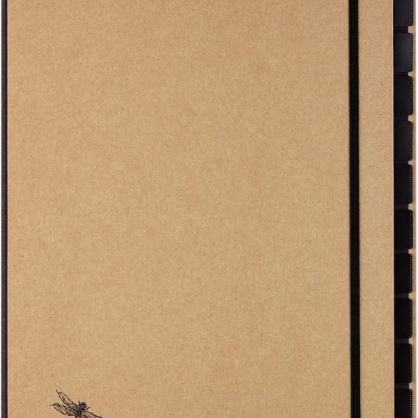 PAGNA Pultordner Pur A4 44012-11 natur 12-teilig