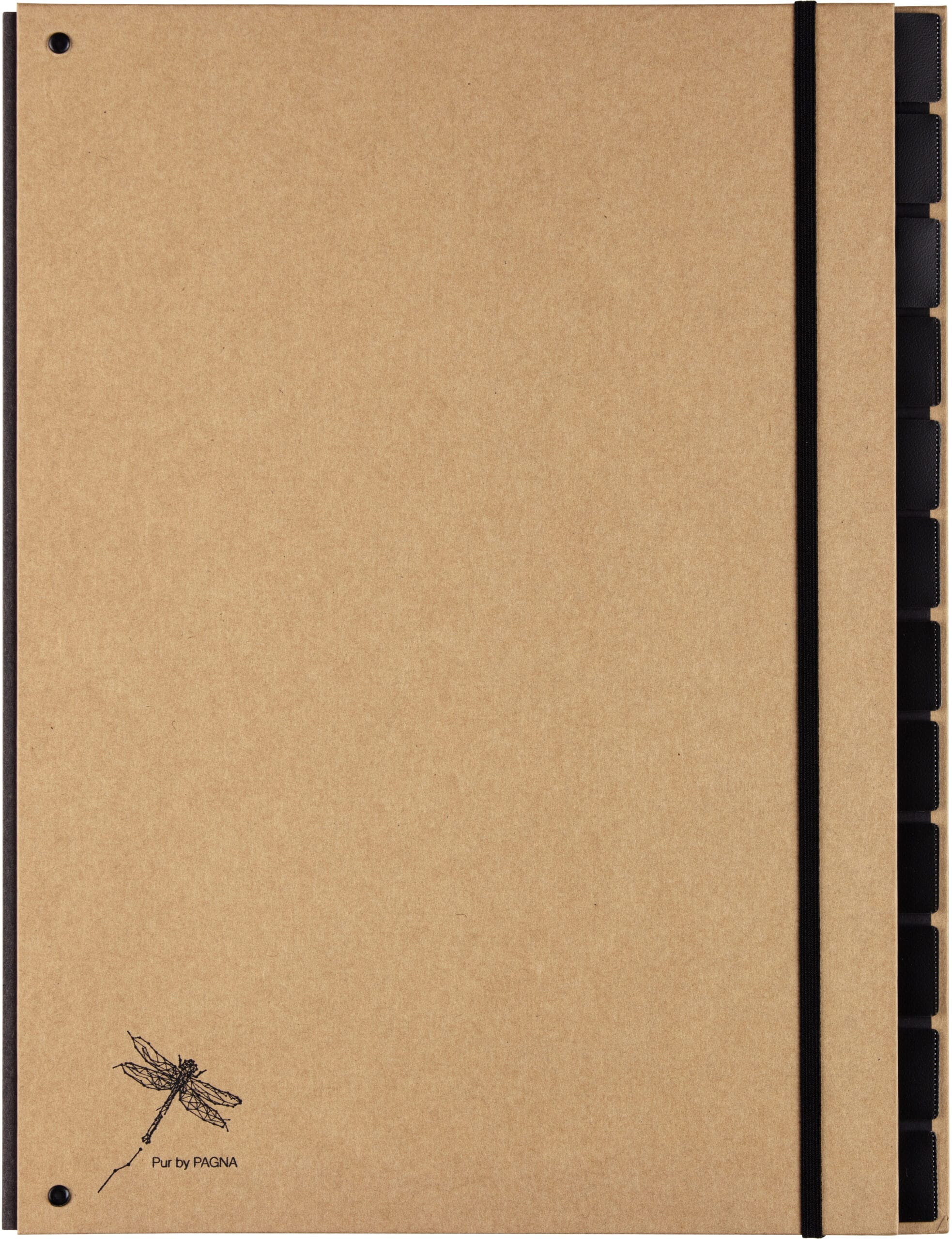 PAGNA-44012-11-4013951015319 PAGNA Pultordner Pur A4 44012-11 natur 12-teilig – Hochwertig & günstig bei ShopDeca