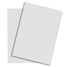 PAPYRUS Rainbow Papier FSC A3 88042792 hellgrau, 160g 250 Blatt