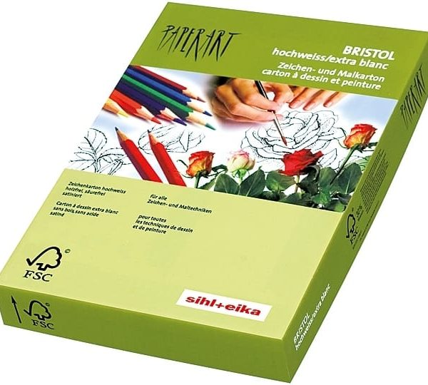 PAPYRUS Karton Bristol A4 88077859 300g, weiss 125 Blatt