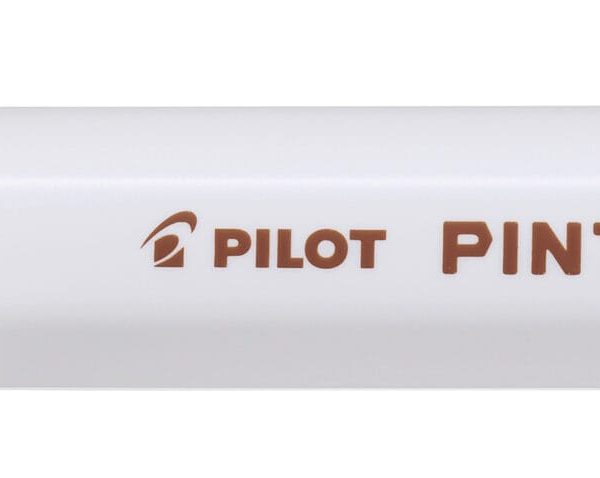 PILOT Marker Pintor 0.7mm SW-PT-EF-BN braun