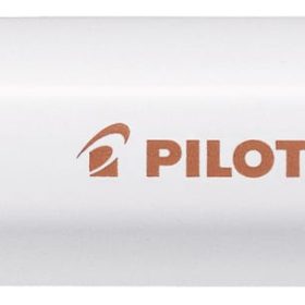PILOT Marker Pintor F SW-PT-F-BN braun