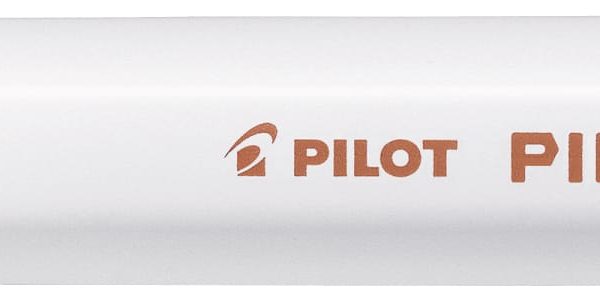 PILOT Marker Pintor F SW-PT-F-BN braun