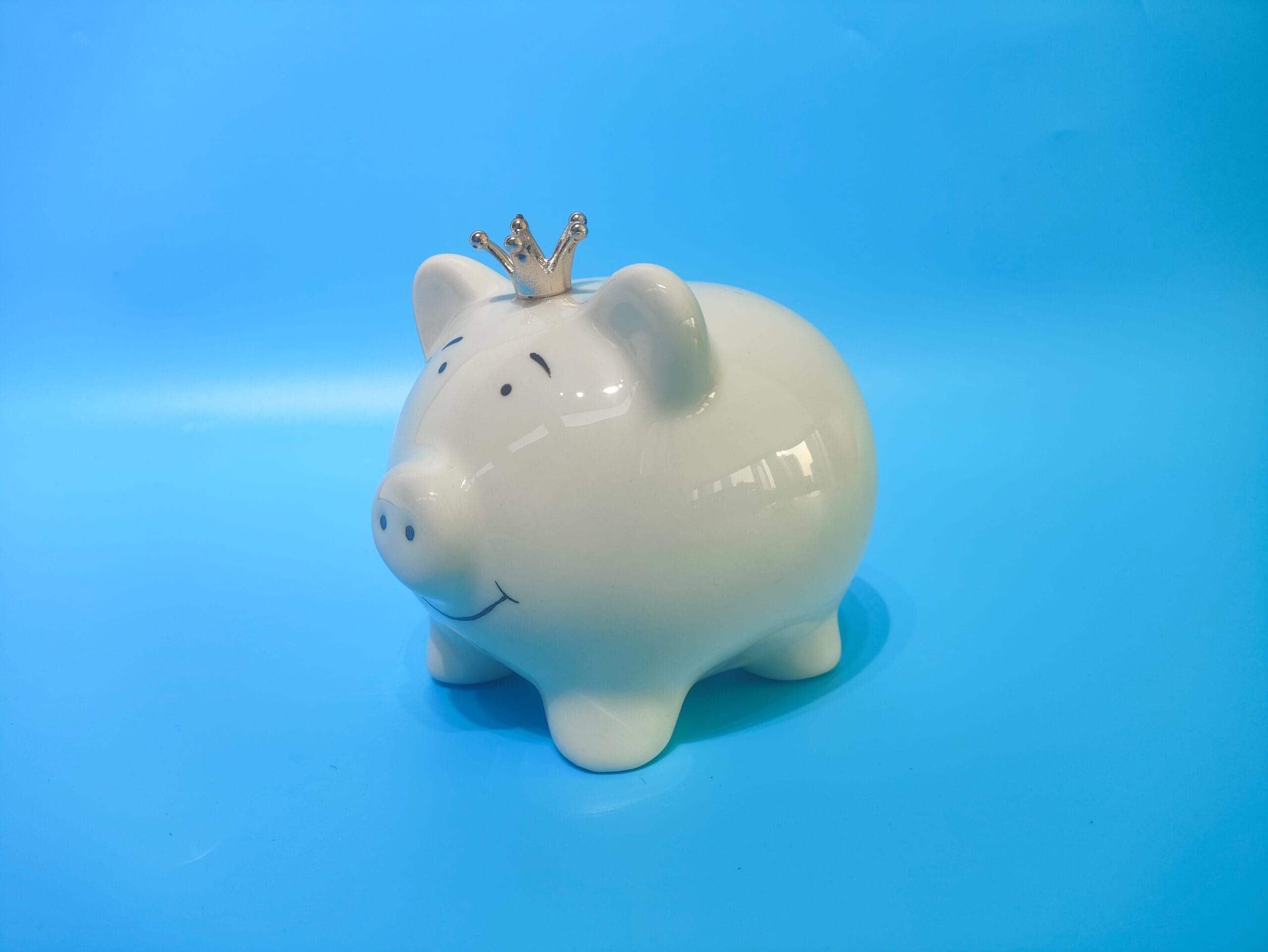 ROOST-TG213104-7613532080858 ROOST Sparkasse 14.7x11.5x12.5cm TG213104 Schwein – Hochwertig & günstig bei ShopDeca