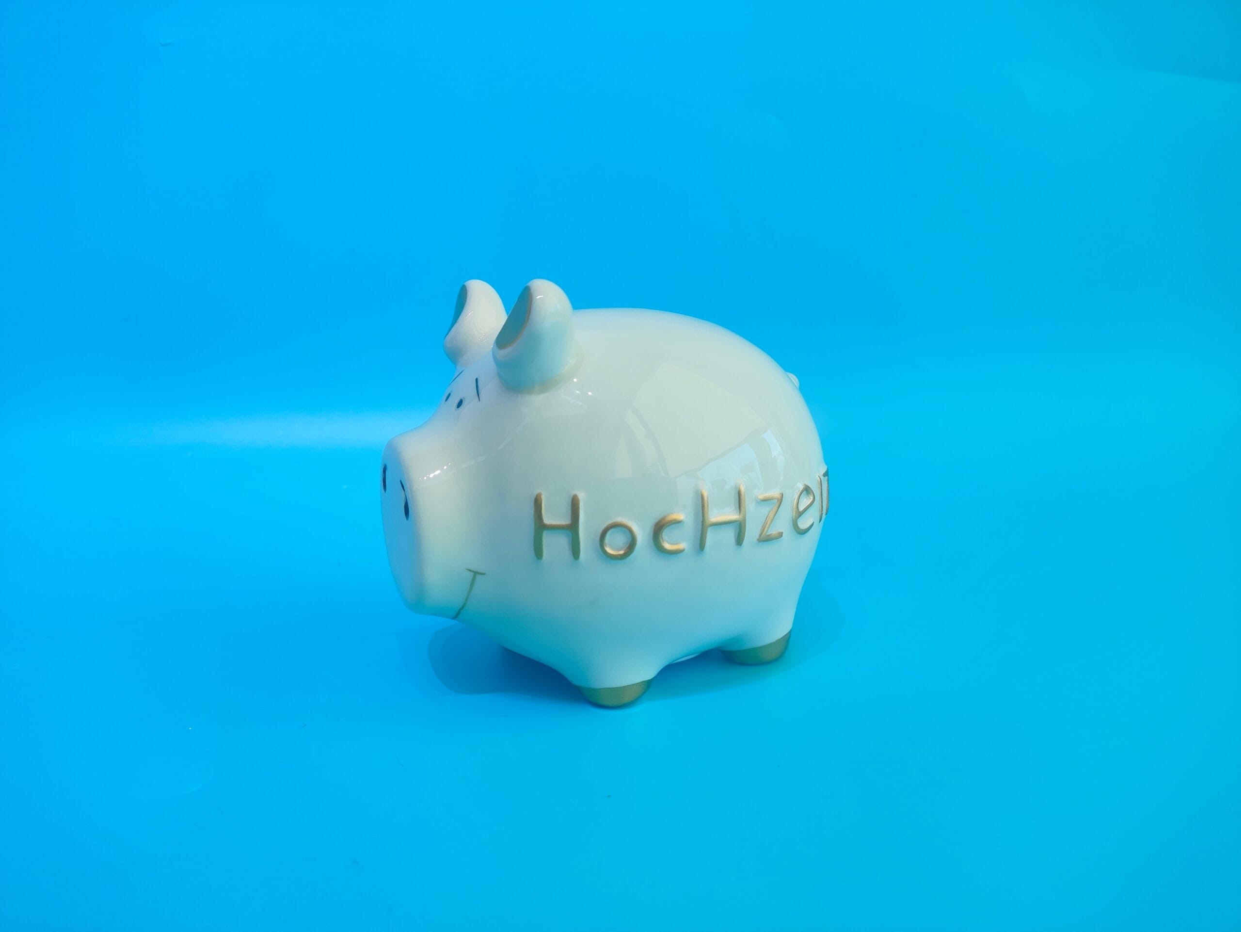 ROOST-TG240704-7613532080902 ROOST Sparkasse 11.5x8.5x10.5cm TG240704 Schwein Hochzeit – Hochwertig & günstig bei ShopDeca