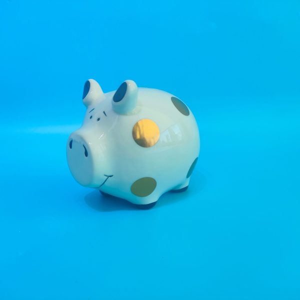 ROOST Sparkasse 11.5x8.5x10.5cm TG240705 Schwein