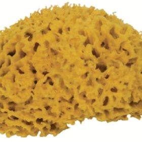 FRINA Naturschwamm 916.16 16cm