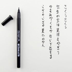 SAKURA Pigma Brush Pen F XFVKFB49 black