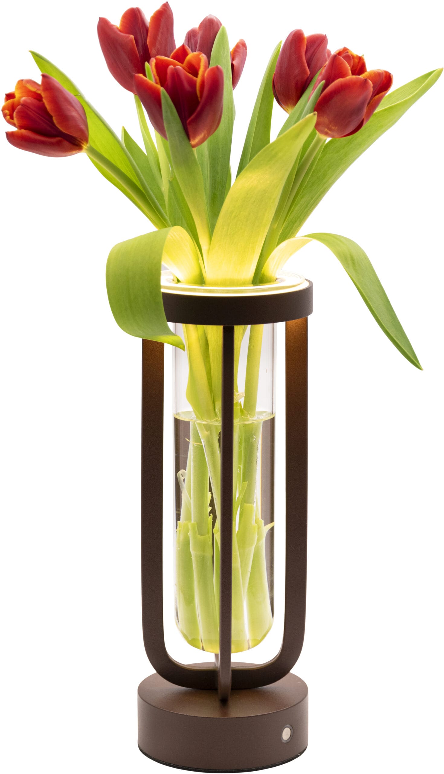 SECURIT-LP-FL-BR-8720663161406 SECURIT Tischleuchte FLORENCE LP-FL-BR braun, Akku, dimmbar – Hochwertig & günstig bei ShopDeca