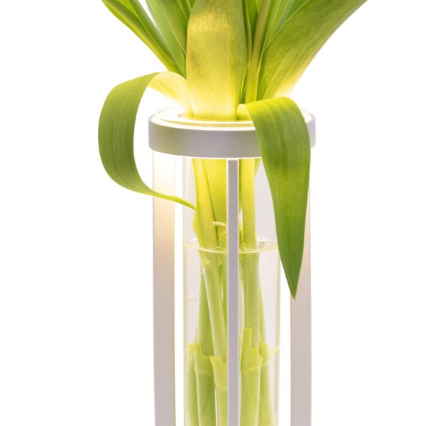 SECURIT Tischleuchte FLORENCE LP-FL-WT weiss, Akku, dimmbar