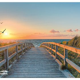 SPEEDLINK SILK Mousepad Beach SL-620000-BEACH