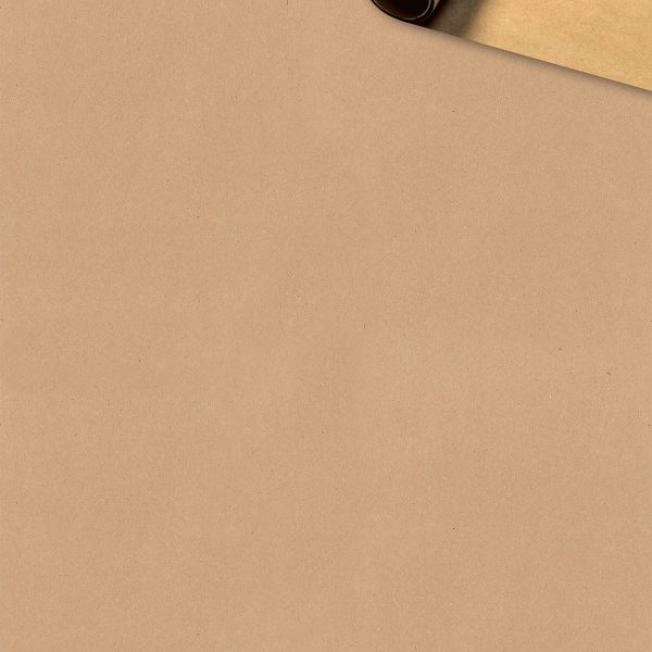 STEWO Geschenkpapier Recycling 2528646756 70x200cm braun hell