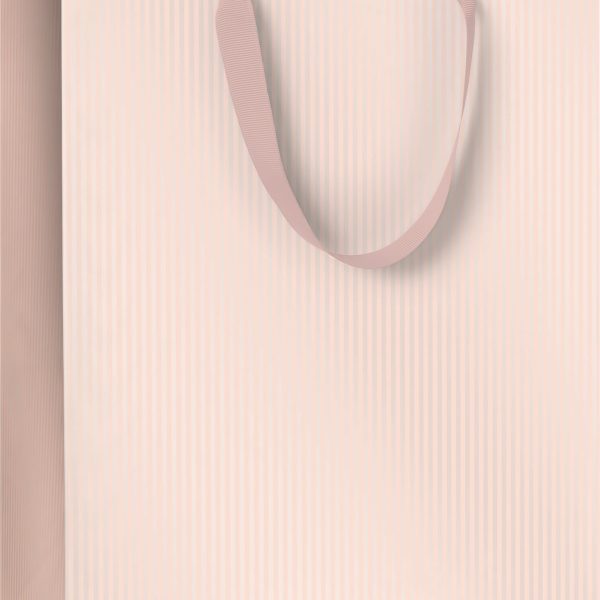 STEWO Geschenktasche Paro 2544996526 rosa hell 23x13x30cm