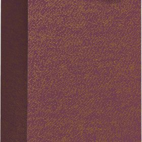 STEWO Geschenktasche Falcone 2546744624 bordeaux 11x10,5x36cm