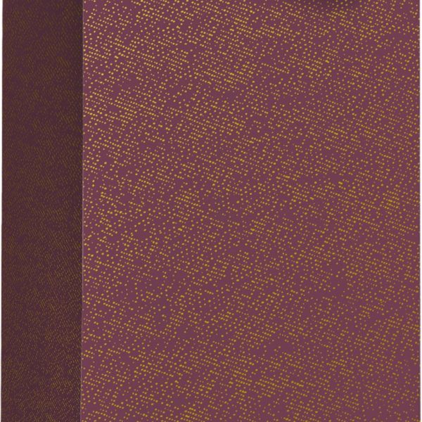 STEWO Geschenktasche Falcone 2546744624 bordeaux 11x10,5x36cm