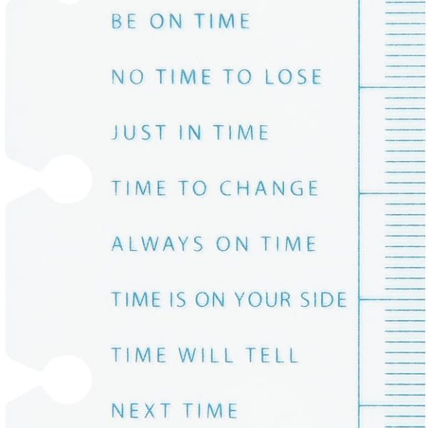 SUCCES Agenda Junior Massstab 84220200U transparent