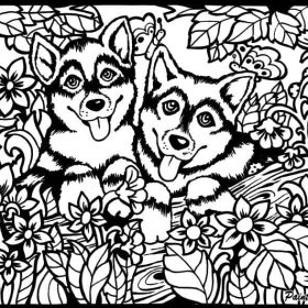TATARUGA Samtbild A4 S5 Huskys
