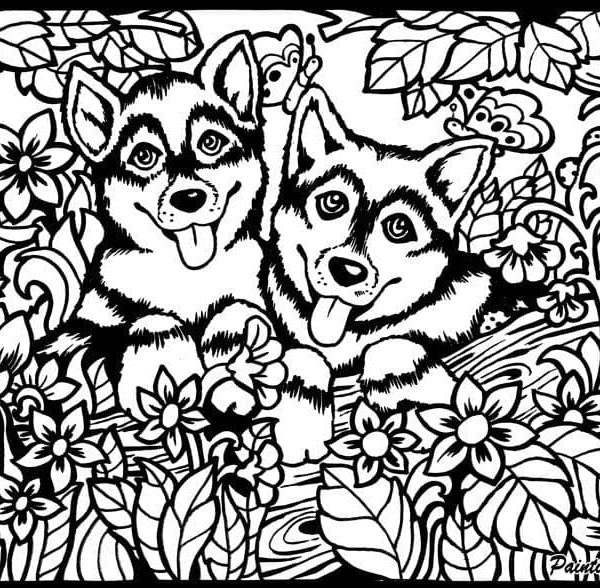 TATARUGA Samtbild A4 S5 Huskys