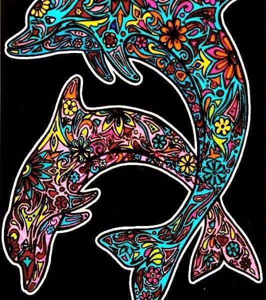 TATARUGA Samtbild A4 S9 Delfine