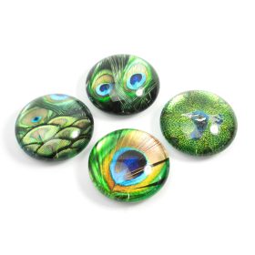 TRENDFORM EYE Magnete PEACOCK EY2020 4er Set