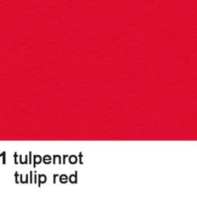 URSUS Fotokarton 50x70cm 3882221 300g, tulpenrot