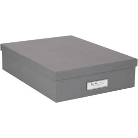 BIGSO BOX OF SWEDEN Aufbewahrungsbox Oskar 945154141 grau 26x35x8.5cm