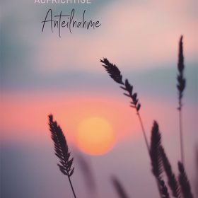 ABC Trauerkarte B6 51967 Schilf