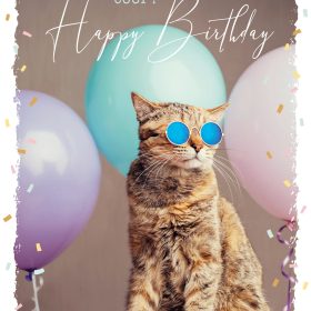 ABC Geburtstagskarte FR B6 53066 Sunny Cat