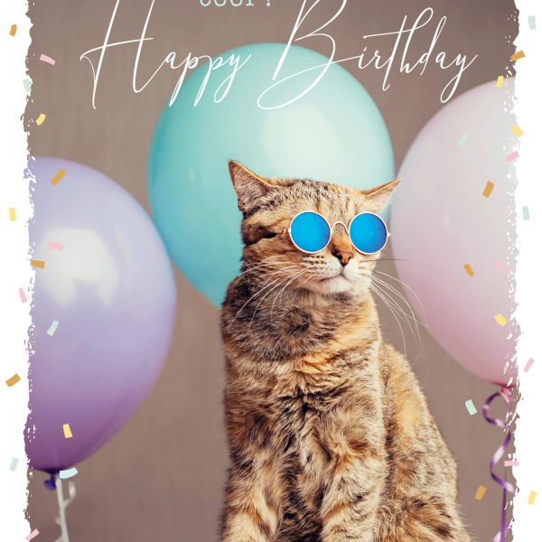 ABC Geburtstagskarte FR B6 53066 Sunny Cat