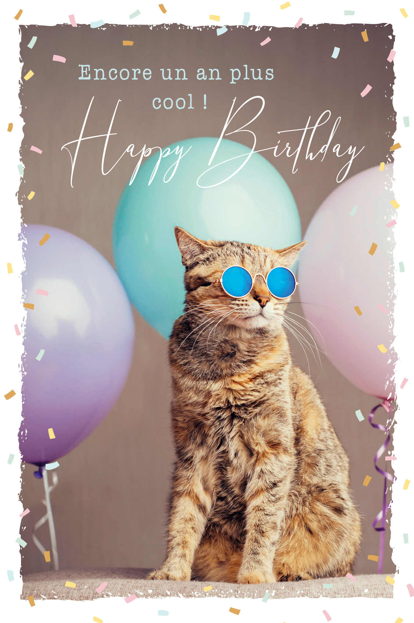 ABC-53066-7611119275659 ABC Geburtstagskarte FR B6 53066 Sunny Cat – Hochwertig & günstig bei ShopDeca
