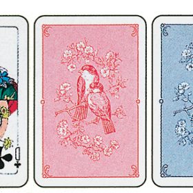 AGMÜLLER Patience 43x66mm 10032199-001 blau 55 Karten