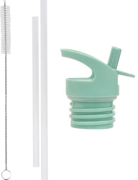 ALLC Set für Trinkflasche DBSSRE66 Deckel, Stohhalm, Bürste