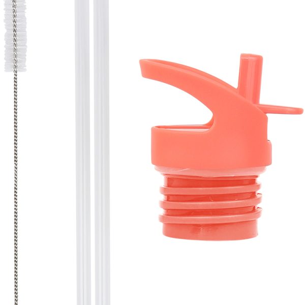 ALLC Set für Trinkflasche DBSSRE85 Deckel, Strohhalm, Bürste