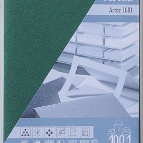 ARTOZ Couverts 1001 C7 107134183 100g, racing grün 5 Stück
