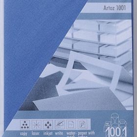 ARTOZ Couverts 1001 C7 107134184 100g, royal 5 Stück