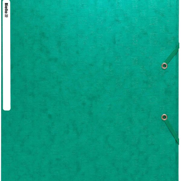 BIELLA Gummibandmappe A4 17840030U grün, 590gm2 220 Bl.