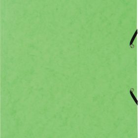 BIELLA Gummibandmappe A4 17840131U hellgrün, 355gm2 200 Bl.