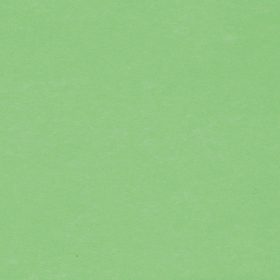 BIELLA Trennstreifen Karton 2 Loch 19919030U grün, 24x10.5cm 100 Stk.