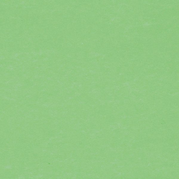 BIELLA Trennstreifen Karton 2 Loch 19919030U grün, 24x10.5cm 100 Stk.