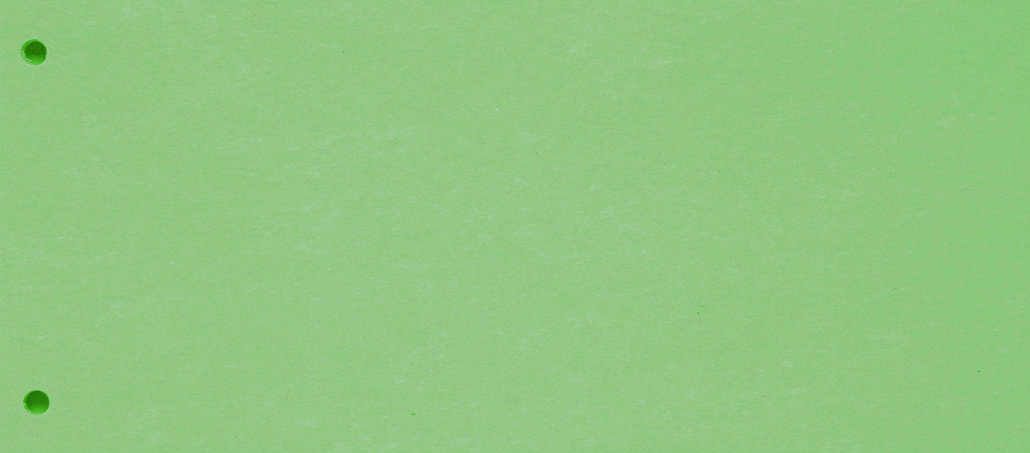 BIELLA-19919030U-7611365357475 BIELLA Trennstreifen Karton 2 Loch 19919030U grün, 24x10.5cm 100 Stk. – Hochwertig & günstig bei ShopDeca