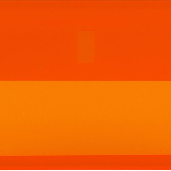 BIELLA Klarsichthülsen 60x30mm 27360235U orange 25 Stück