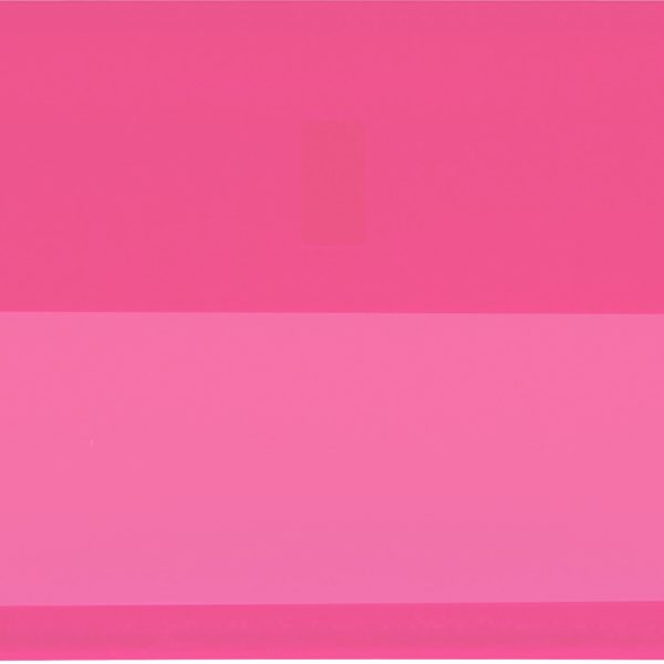 BIELLA Klarsichthülsen 60x30mm 27360240U rosa 25 Stück