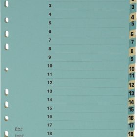 BÜROLINE Kartonregister A4 40552 blau/beige 1-20